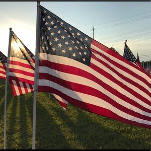 Meet your Posher, Wendy